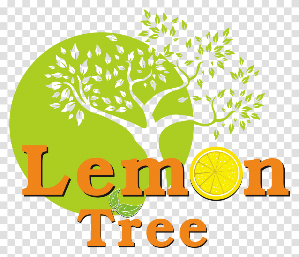 Nice Fools Garden Lemon Tree Lemon Tree Ratoath, Plant, Food, Citrus Fruit, Graphics Transparent Png