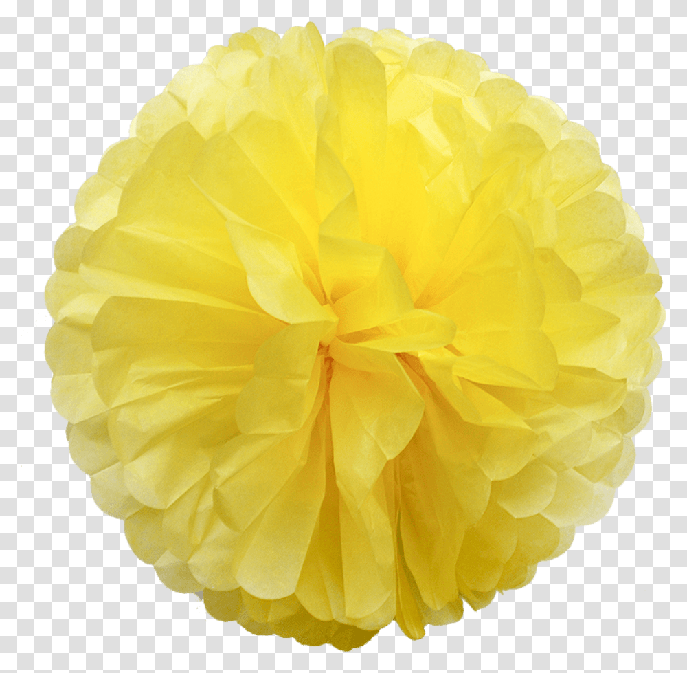 Nice Light Yellow Pom Poms From Pachia Yellow Paper Pom Poms, Towel, Paper Towel, Tissue, Rose Transparent Png