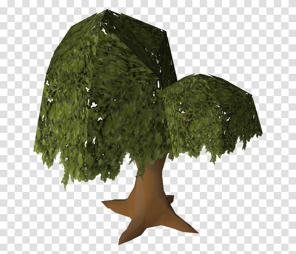 Nice Tree Osrs Wiki Nice Tree Osrs, Fungus, Art, Plant, Nature Transparent Png