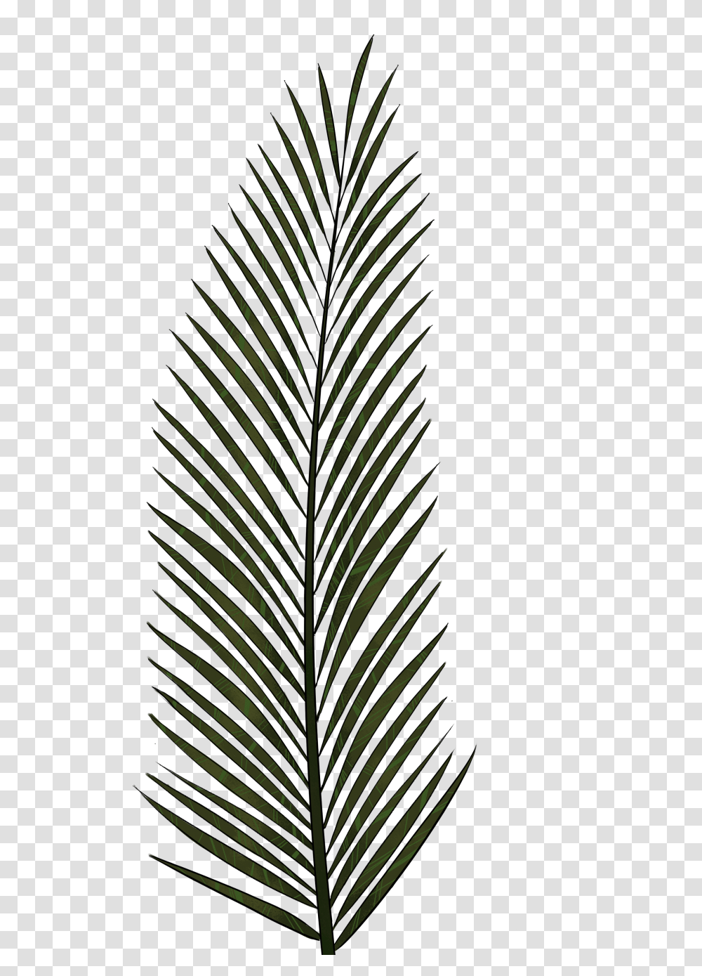 Nice Tropical Palm Tree Leaves Memory Foam Rug Tropical Palm Tree, Green, Leaf, Plant, Pineapple Transparent Png