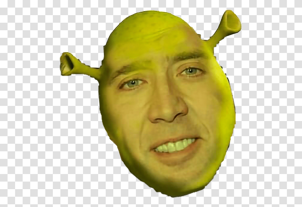 Nick Cage Face Nicolas Cage, Head, Person, Plant, Jaw Transparent Png