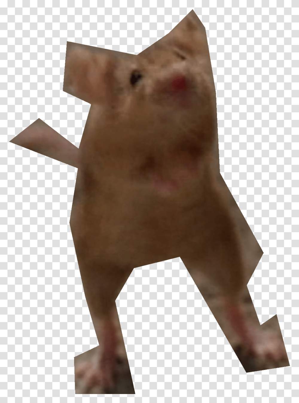 Nick Cannon, Mammal, Animal, Hog, Pig Transparent Png