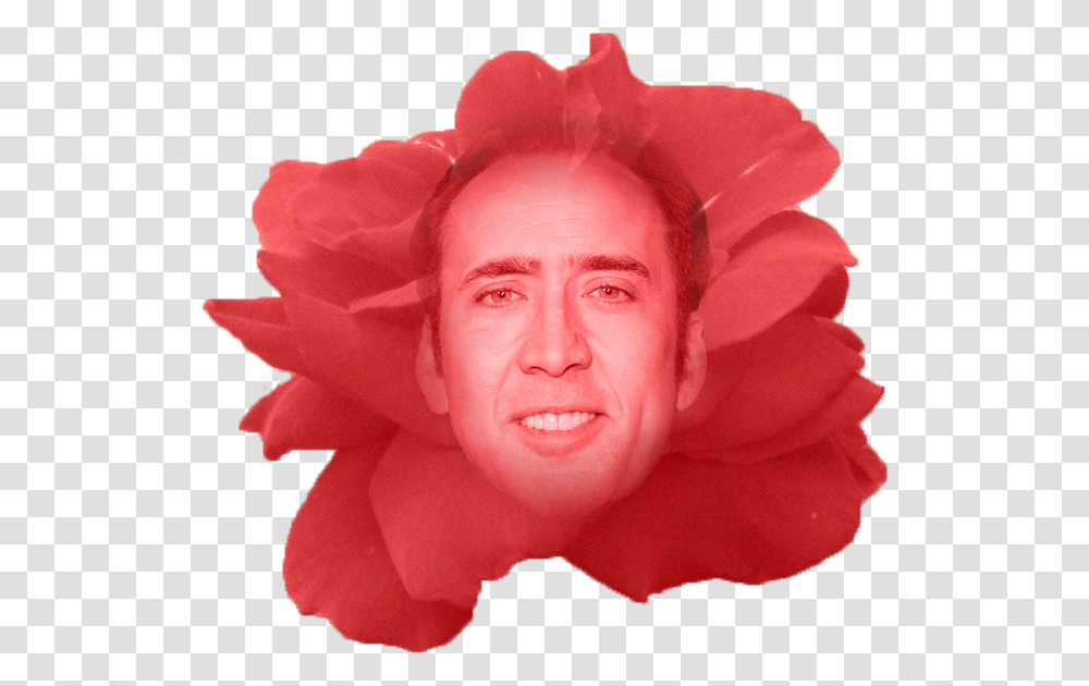 Nick Of Time Woman Who Looks Like Nicolas Cage, Face, Person, Head, Plant Transparent Png