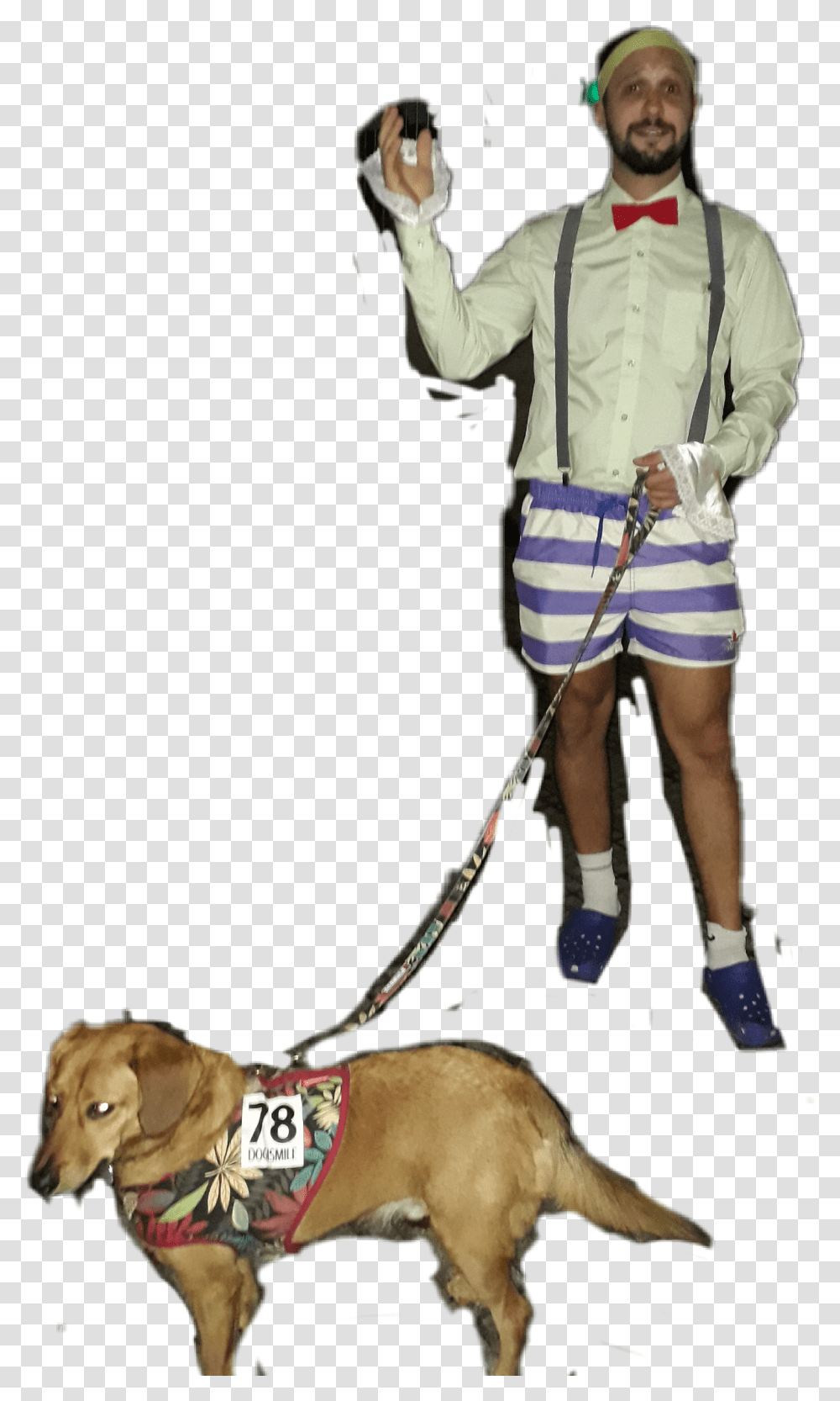 Nico Police Dog, Person, Canine, Animal Transparent Png