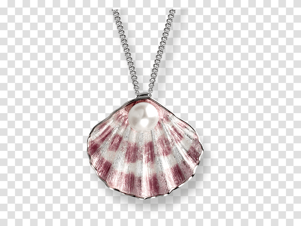 Nicole Barr Purple Shell Shell Necklace Background, Sea Life, Animal, Seashell, Invertebrate Transparent Png
