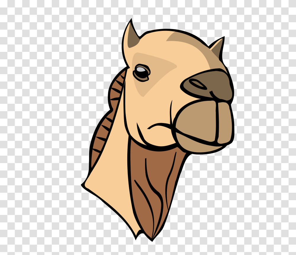 Nicubunu Camel Head, Animals, Mammal, Drawing Transparent Png