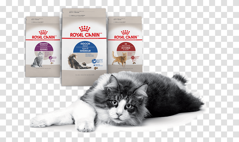 Nielsen Through Scantrack Service For The Cat Food Royal Canin, Pet, Mammal, Animal, First Aid Transparent Png