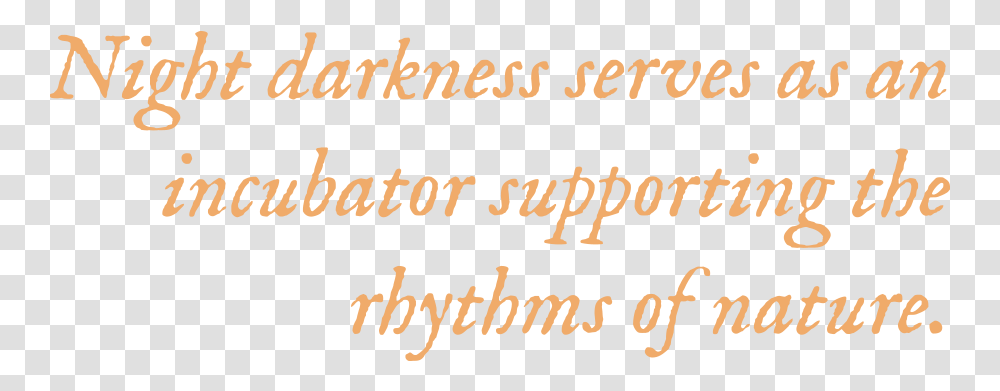 Night Darkness Serves As An Incubator Supporting The Calligraphy, Handwriting, Alphabet, Letter Transparent Png