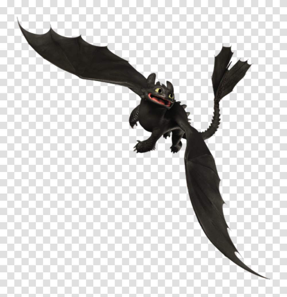 Night Fury, Character, Dragon, Bird, Animal Transparent Png