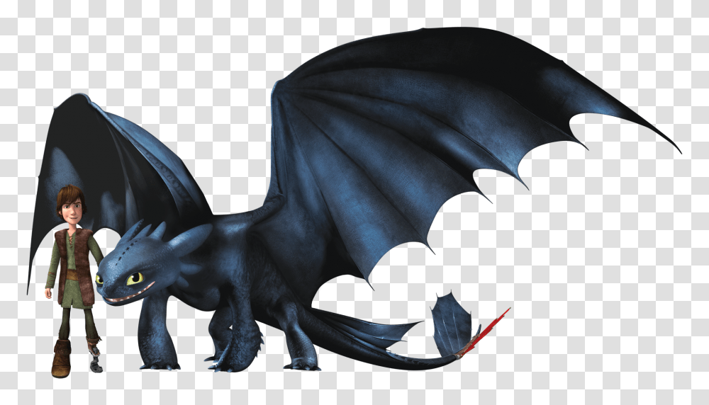 Night Fury, Character, Dragon, Person, Human Transparent Png