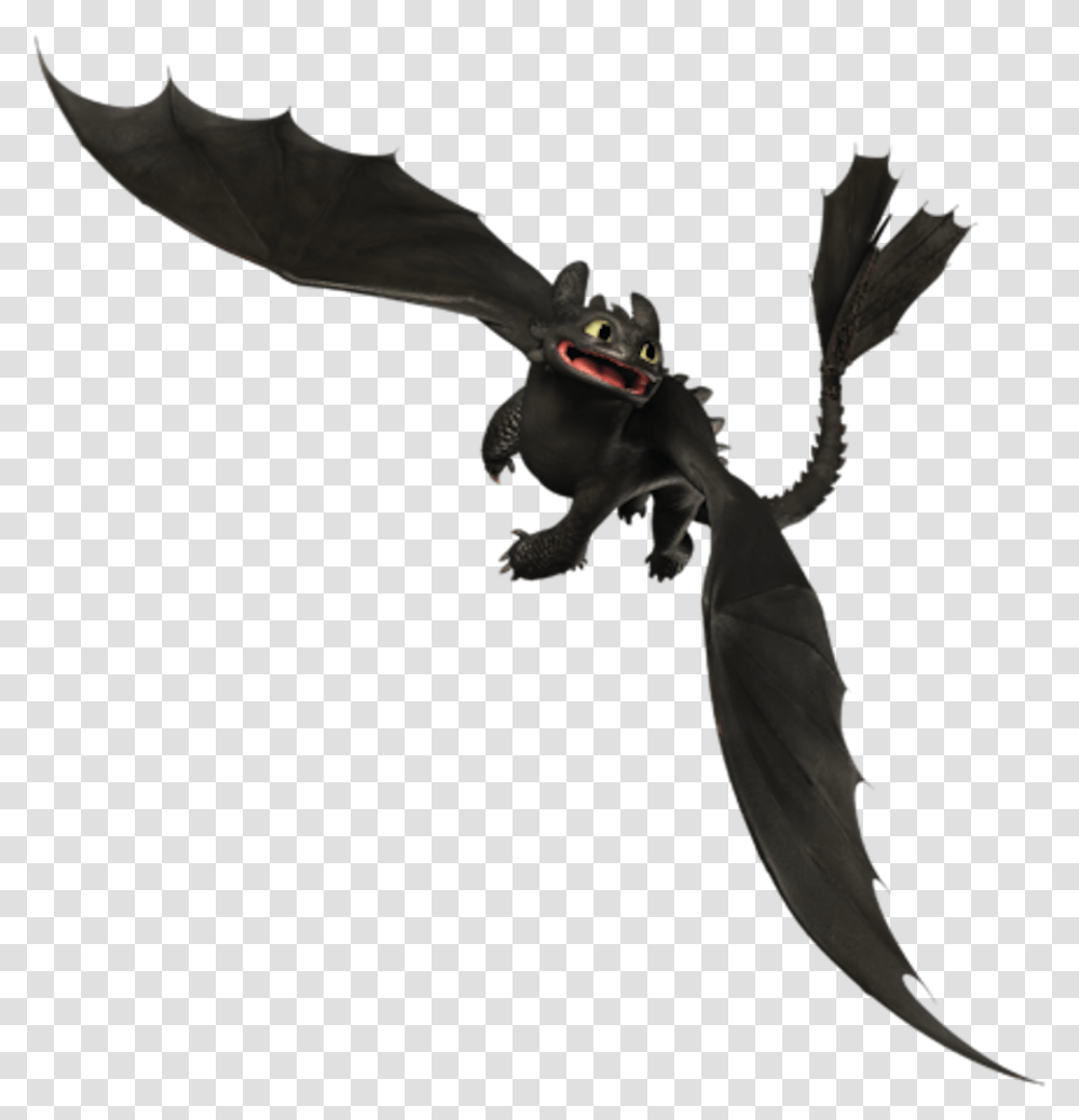 Night Fury Train Your Dragon Toothless, Bird, Animal, Person, Human Transparent Png
