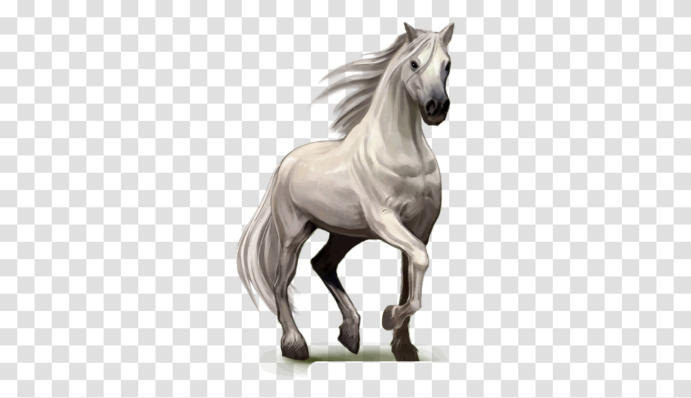 Night Happy Halloween With Horses, Mammal, Animal, Andalusian Horse, Stallion Transparent Png