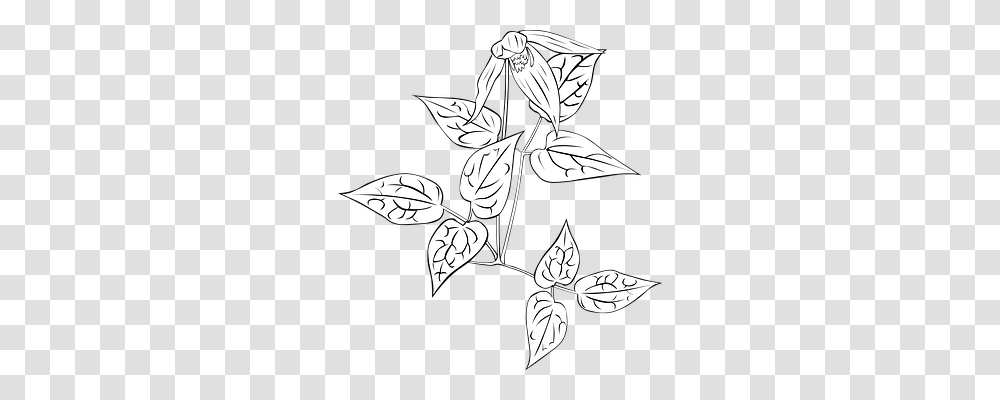 Nightshade Nature, Leaf, Plant, Floral Design Transparent Png