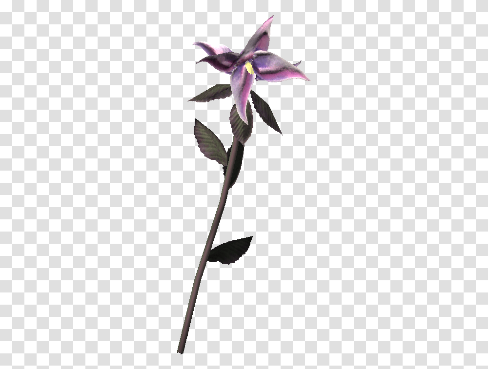 Nightshade Skyrim Obscurcine, Plant, Bird, Animal, Flower Transparent Png