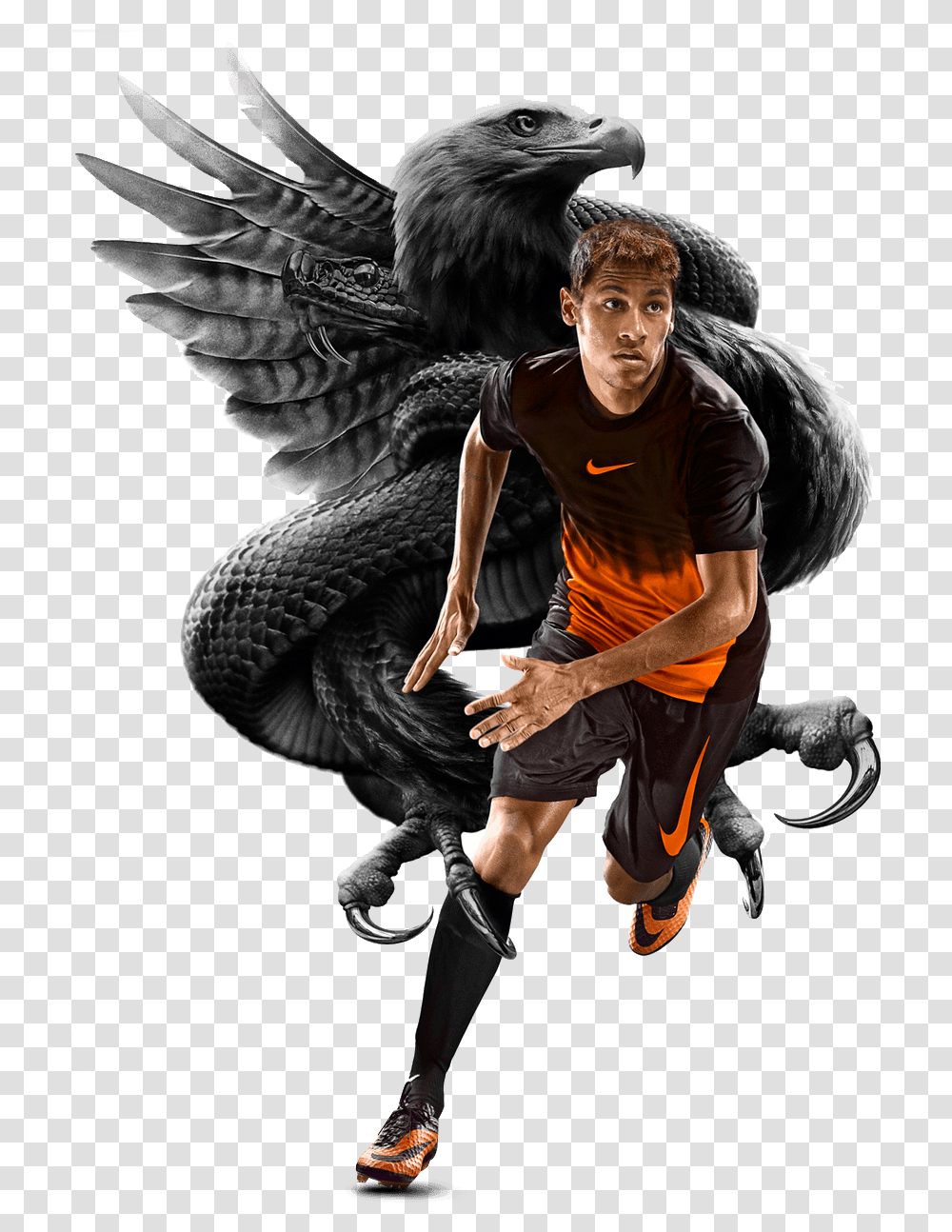 Nike Hypervenom 2014 World Cup, Person, Human, Bird Transparent Png