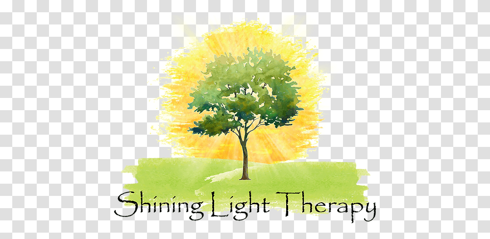 Nikki Pritchett Lmft Pleasanton Ca Shining Light Therapy Tree, Graphics, Art, Plant, Poster Transparent Png