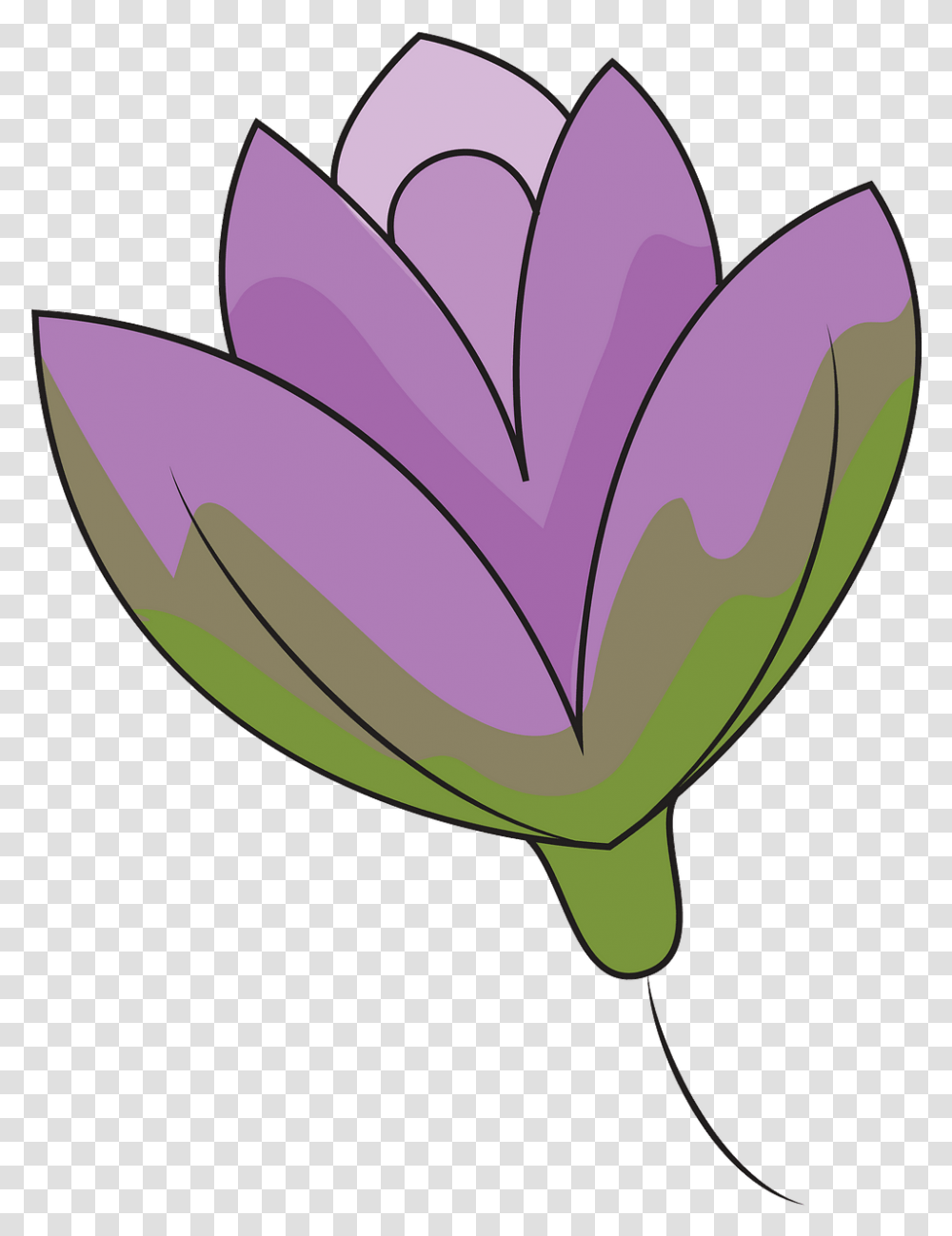 Nikumaroro Island, Plant, Purple, Petal, Flower Transparent Png