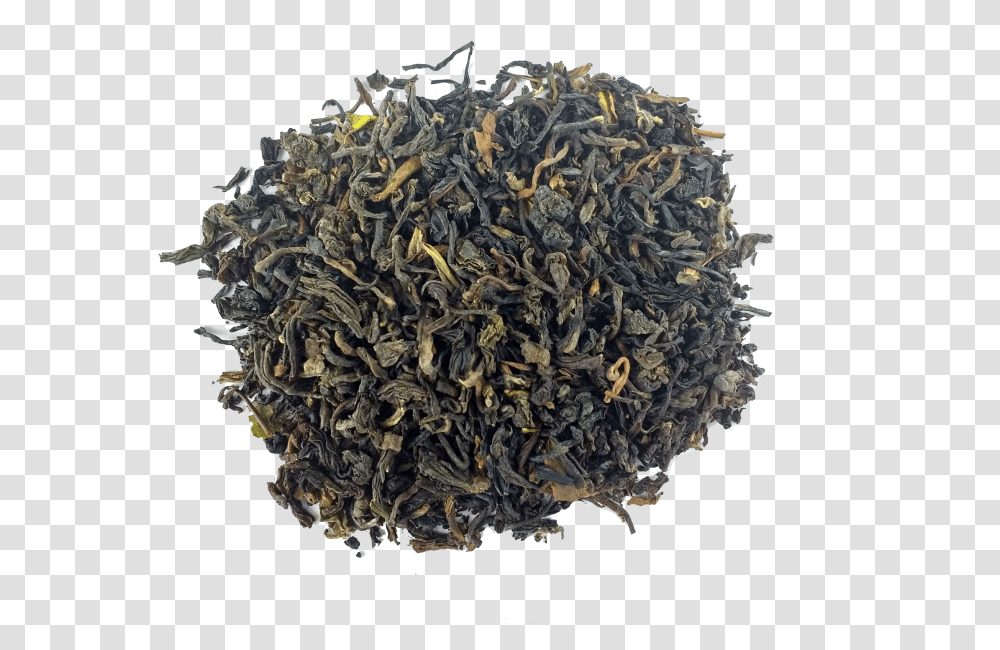 Nilgiri Tea Hd Download Dianhong Tea, Honey Bee, Insect, Invertebrate, Animal Transparent Png