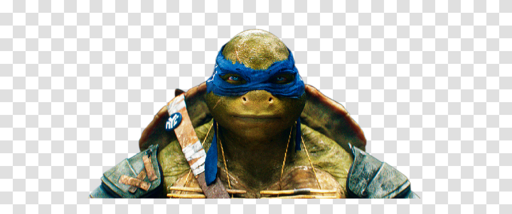 Ninja Turtles, Character, Person, Human, Face Transparent Png
