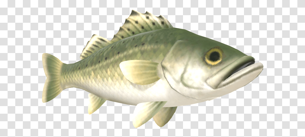 Nintendo Switch Animal Crossing New Horizons Sea Bass Bass, Fish, Sea Life, Tuna, Bonito Transparent Png