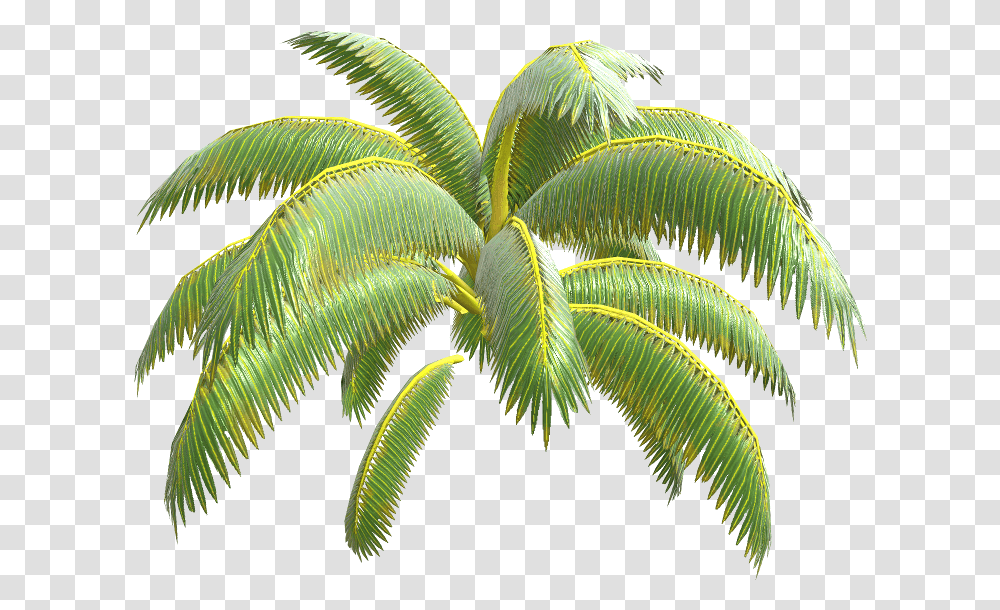 Nintendo Switch Arms Palm Tree Leaves The Models Resource Fresh, Green, Plant, Leaf, Pattern Transparent Png
