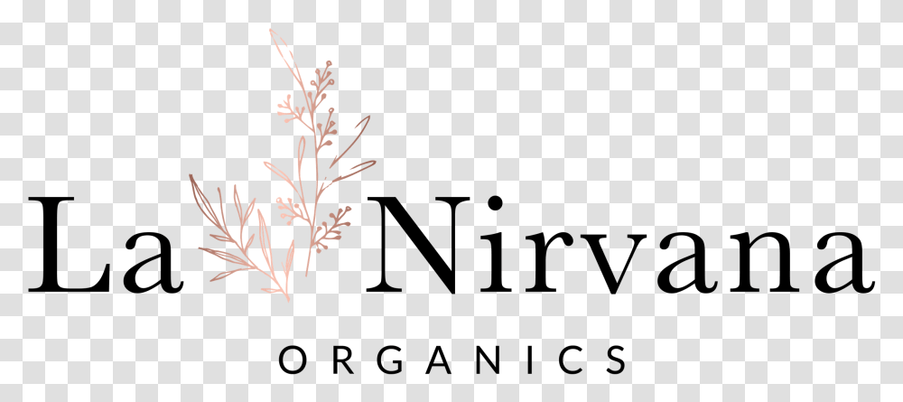 Nirvana Clean Sweep, Plant, Flower, Pineapple, Outdoors Transparent Png