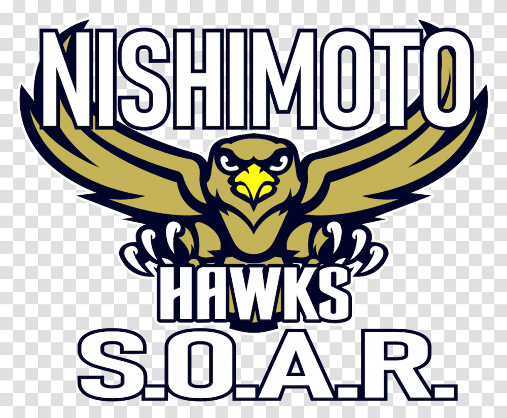 Nishimoto Elementary School Hawks, Eagle, Bird, Animal Transparent Png