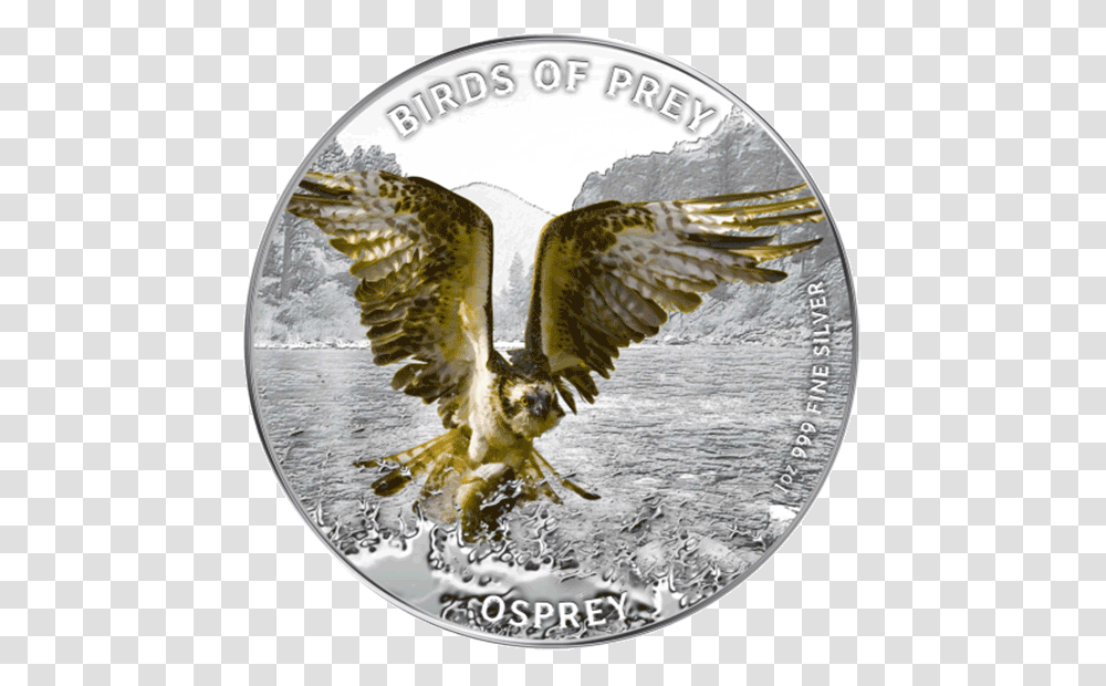 Niue 2013 2 Osprey Birds Of Prey Proof Silver Coin Osprey Hunting, Animal, Eagle, Snake, Reptile Transparent Png