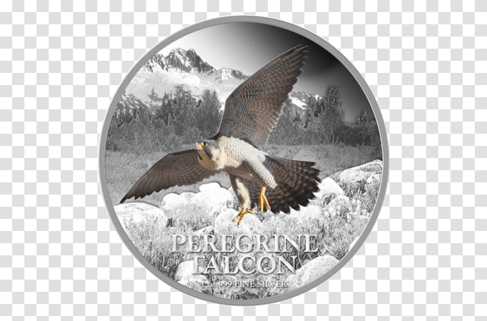Niue 2013 2 Peregrine Falcon Birds Of Prey Proof Silver Silver, Kite Bird, Animal, Hawk, Accipiter Transparent Png