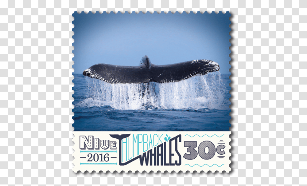 Niue 2016 Humpback Whales New Zealand Post Stamps Dolphin, Sea Life, Animal, Mammal, Bird Transparent Png