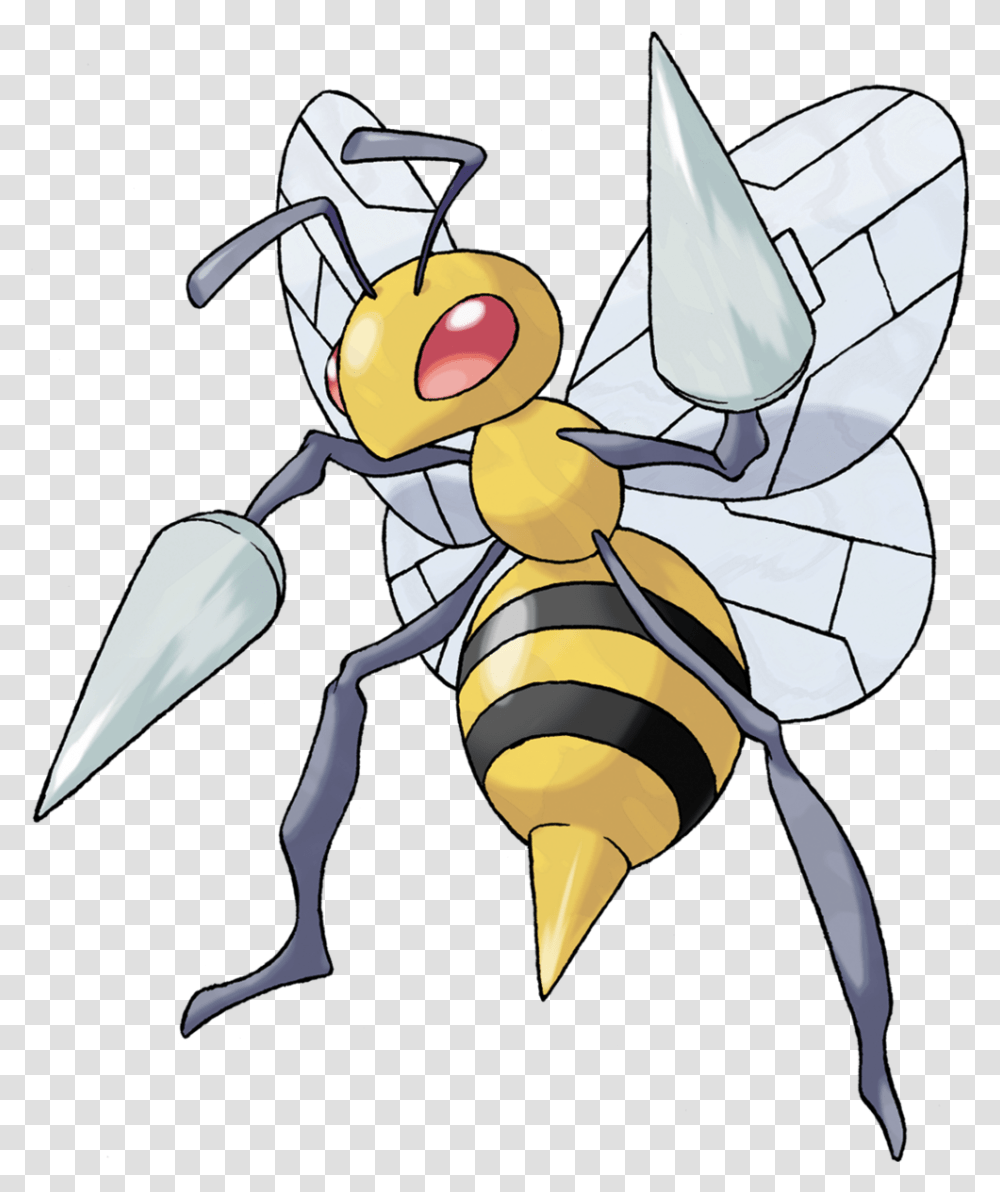 Nj Coding Practice Pokemon Beedrill, Wasp, Insect, Invertebrate, Animal Transparent Png