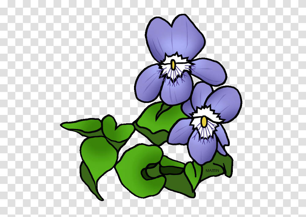 Nj Shore Cliparts, Plant, Flower, Blossom, Pansy Transparent Png