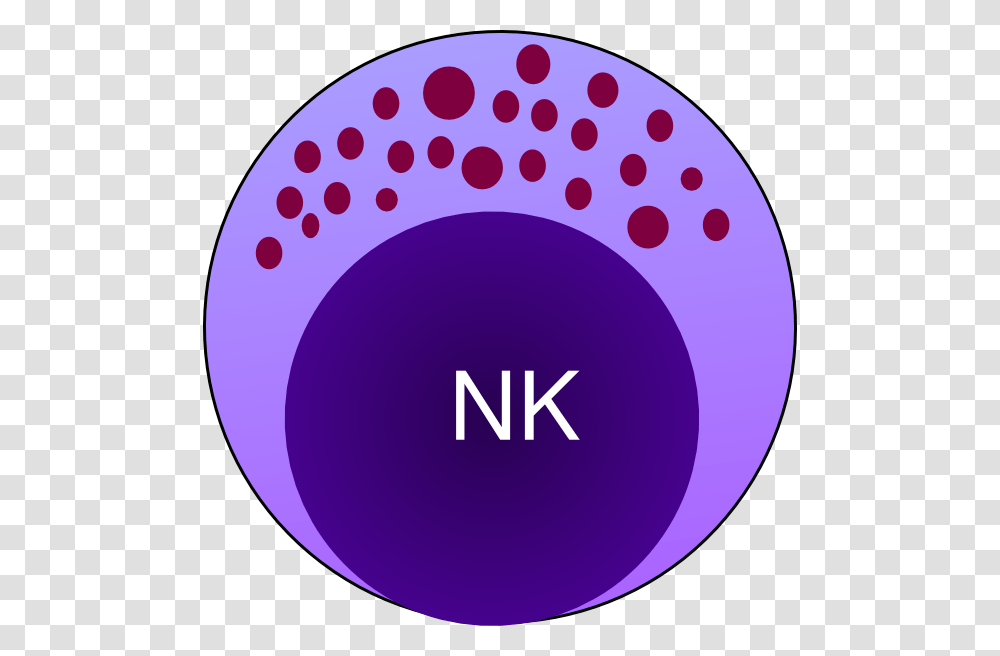 Nk Cell Clip Art, Ball, Sphere, Rug, Word Transparent Png