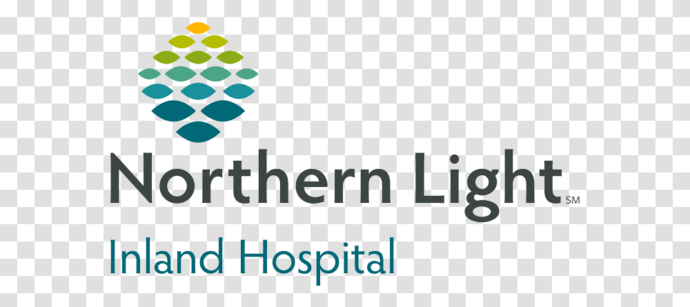 Nl Ih V P Clr Rgb Northern Light Mercy Hospital, Plant Transparent Png