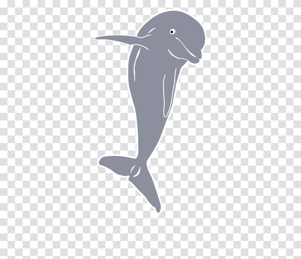 NMMP Dolphin, Animals, Sea Life, Mammal, Arm Transparent Png