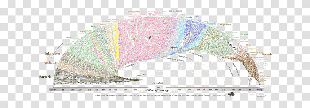 No Answers In Genesis Great Tree Of Life, Building, Architecture, Castle, Arena Transparent Png