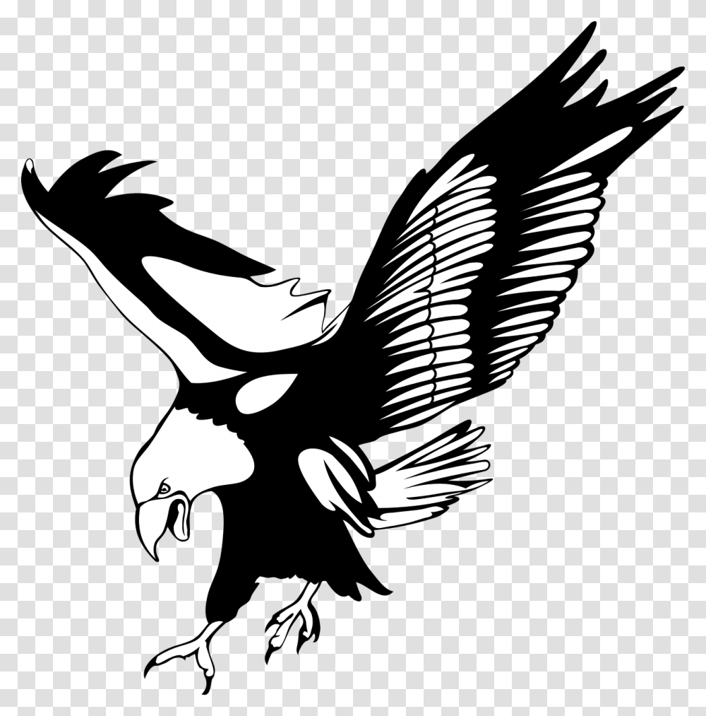 No Background Bird Eagle Background Bird Of Prey Clipart, Stencil, Animal, Emblem Transparent Png
