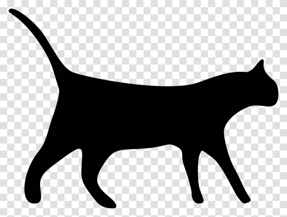 No Black Cat Clipart, Gray, Musician, Musical Instrument, Leisure Activities Transparent Png