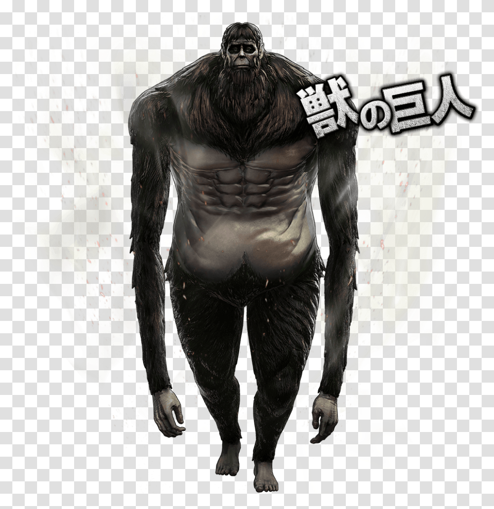 No Caption Provided Attack On Titan 2 Game Beast Titan, Person, Human, Painting Transparent Png