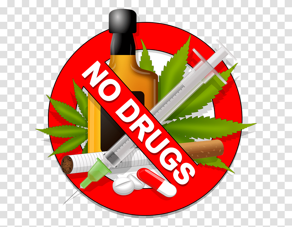 No Drugs, Dynamite, Plant Transparent Png
