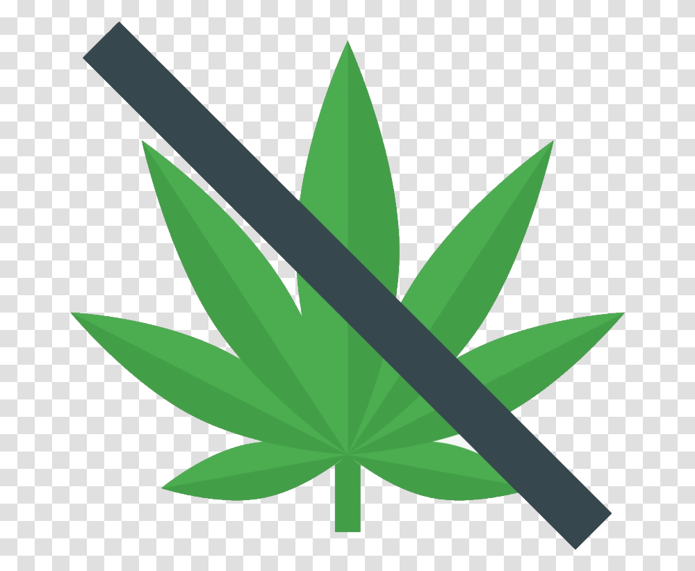 No Drugs, Plant, Green Transparent Png