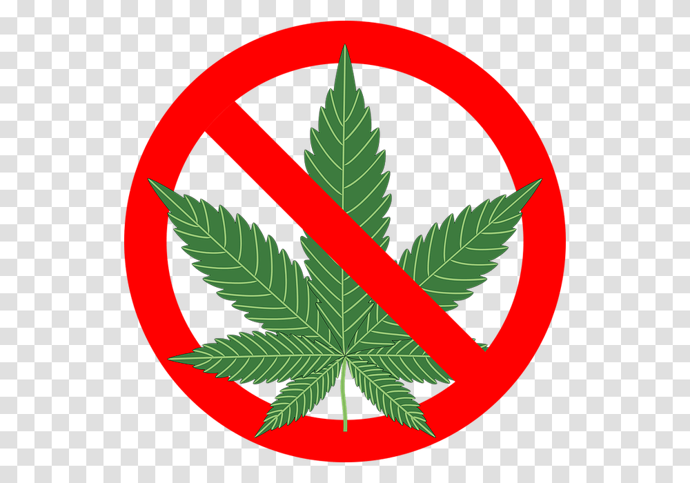 No Drugs, Plant, Leaf, Weed, Hemp Transparent Png