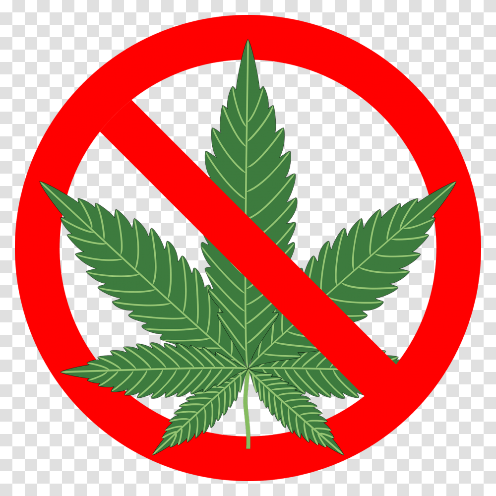 No Drugs, Plant, Leaf, Weed, Hemp Transparent Png