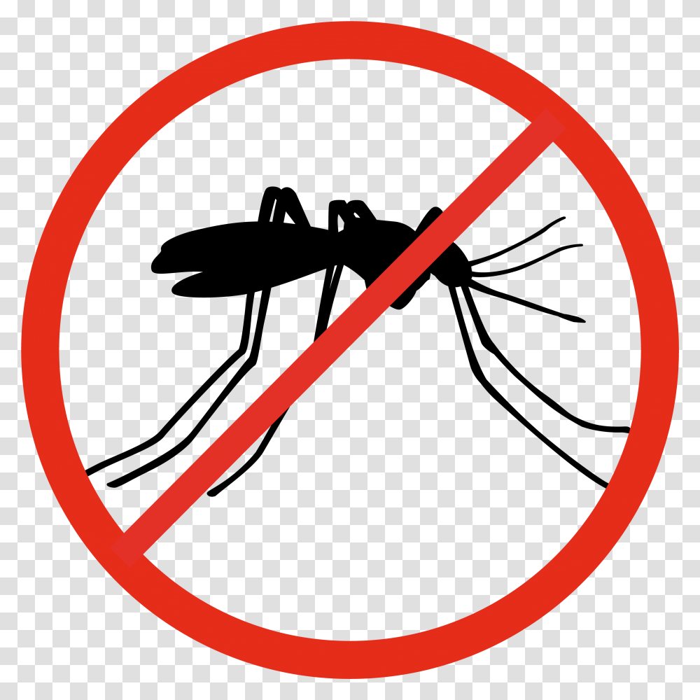 No Feeding Birds Sign Download, Insect, Invertebrate, Animal, Mosquito Transparent Png