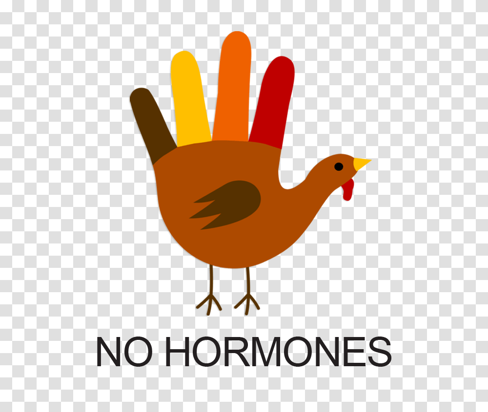 No Hormones Cliparts, Bird, Animal, Beak, Nature Transparent Png