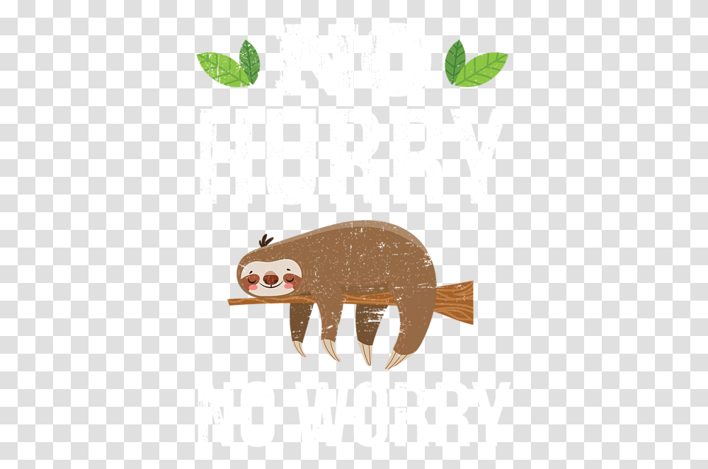 No Hurry Worry Distressed Cute Sloth Design Shower Curtain Sloth Clip Art, Wildlife, Animal, Mammal, Fox Transparent Png