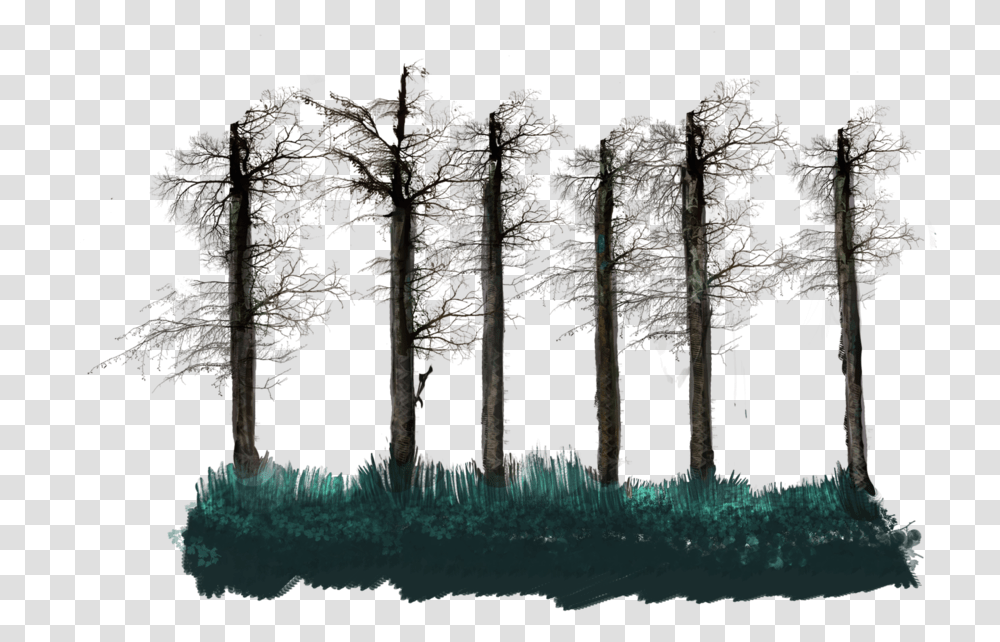 No Leaves Tall Tree Stalk Grove, Plant, Building, Outdoors, Architecture Transparent Png