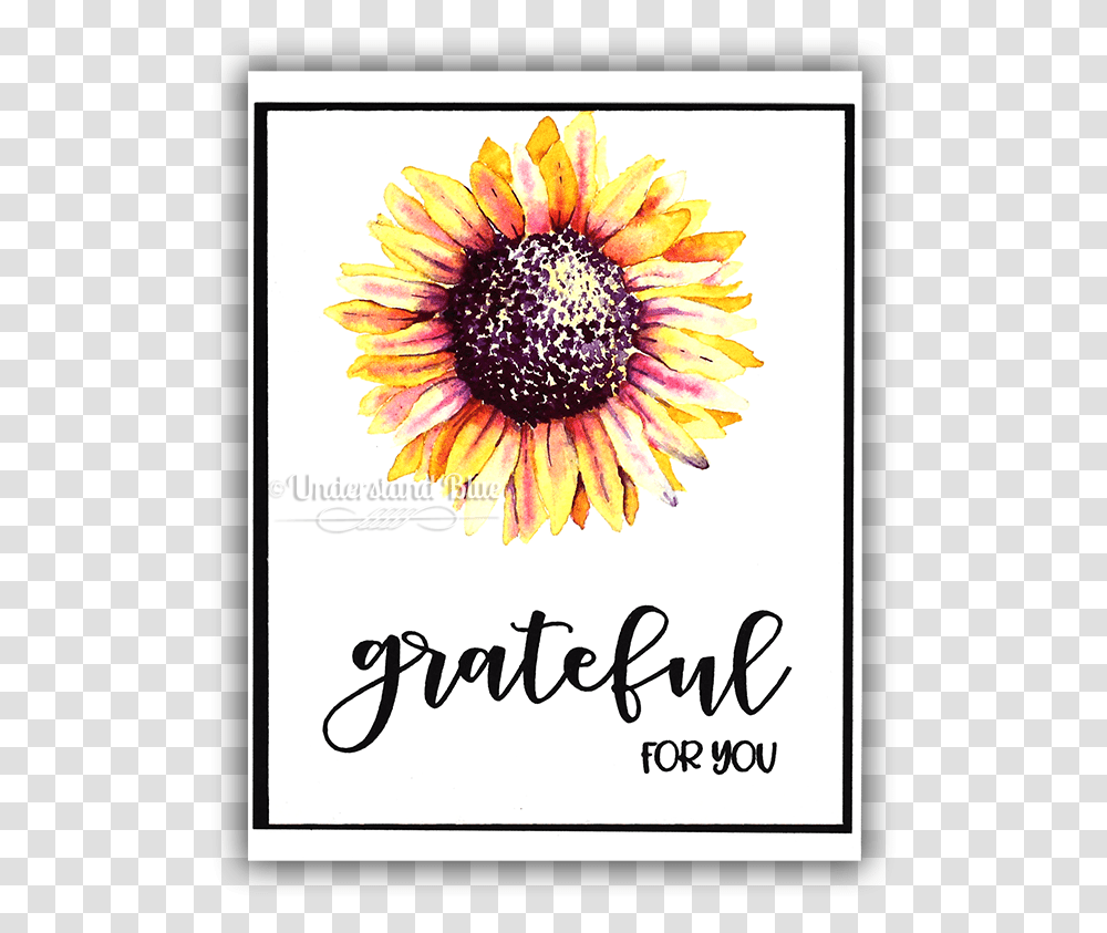 No Line Watercolor Of A Sunflower By Understand Blue Black Eyed Susan, Plant, Daisy, Petal Transparent Png