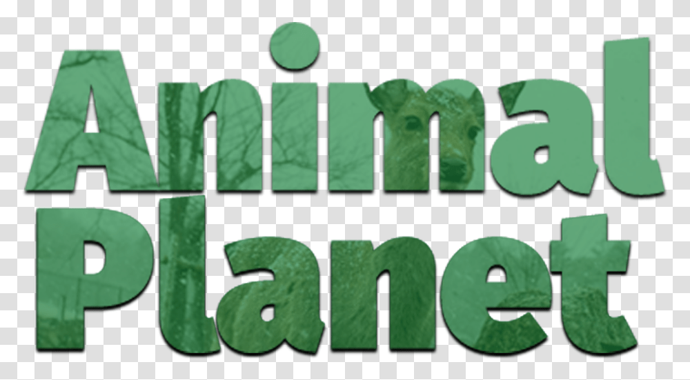 No Longer Dota 2 Animal Planet Logo, Text, Word, Alphabet, Plant Transparent Png