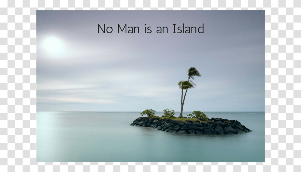 No Man Is An Island Beach Rocks Palm Tree, Outdoors, Nature, Shoreline, Water Transparent Png